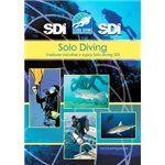 SDI.Учебник к курсу Solo
