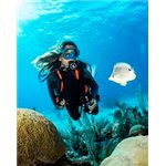 Регулятор Aqualung Helix Pro DIN