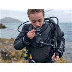 РЕГУЛЯТОР XL4 DIN