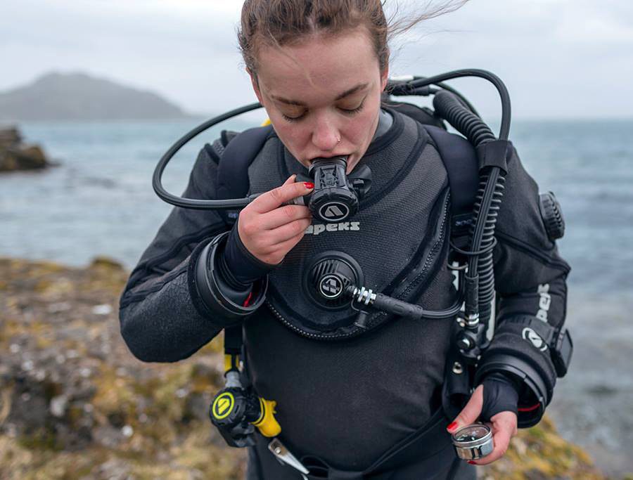 Xl4-8 РЕГУЛЯТОР XL4 DIN — изображение 1