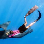 Футболка HYDROSKIN Lady лайкра с длинным рукавом розовый — изображение 3