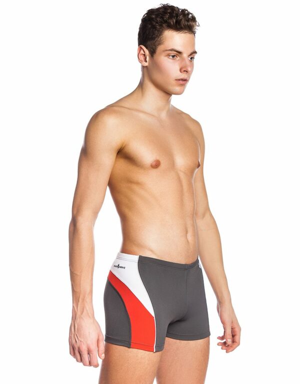 Плавки-шорты SPIRIT серые