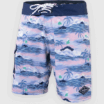 Бордшорты SooRuz Paolo синие пальмы