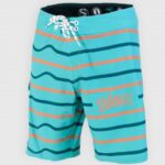 Бордшорты SooRuz FAROU голубые