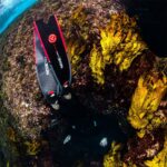 Ласты для подводной охоты SeacSub MOTUS карбоновые — изображение 3