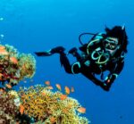 Гидрокостюм W5 3,5мм женский — изображение 5